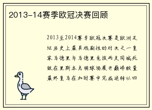 2013-14赛季欧冠决赛回顾