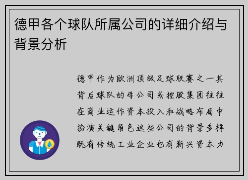 德甲各个球队所属公司的详细介绍与背景分析