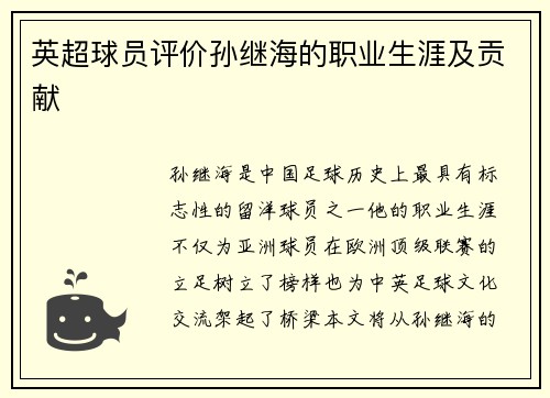 英超球员评价孙继海的职业生涯及贡献